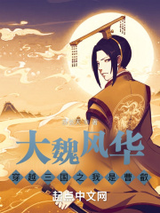 大魏风华:穿越三国之我是曹叡