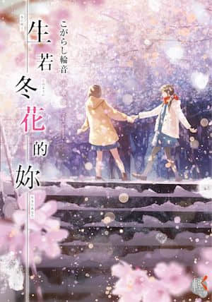生若冬花的妳