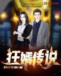 狂婿传说