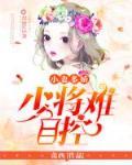 盛世婚宠:帝少难自控