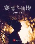 赛博飞仙传