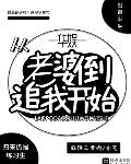 华娱从老婆倒追我开始