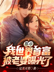 都市:我世界首富,被老婆曝光了!