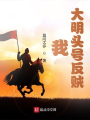 我,大明头号反贼